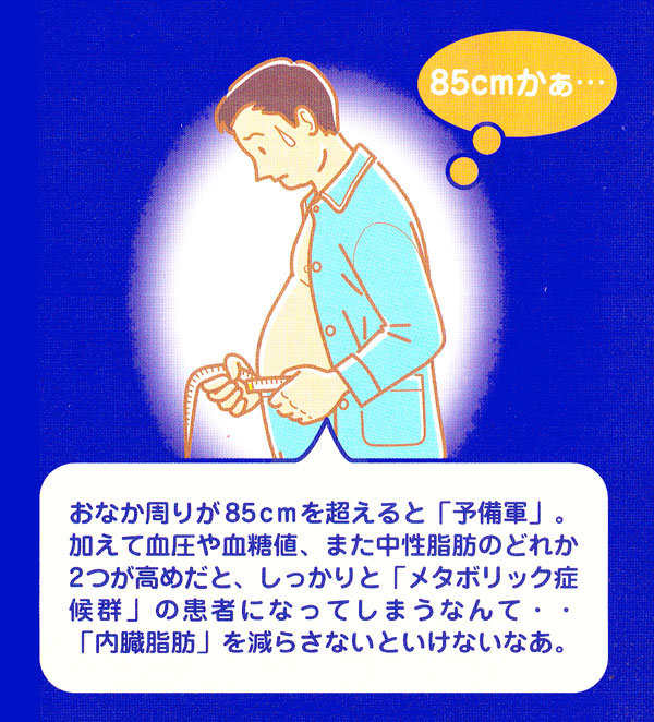 メタボリック症候群予防のポイント