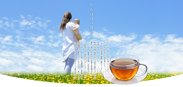 たんぽぽ茶ショウキＴ－１