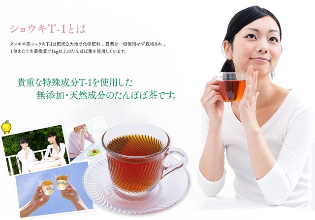 たんぽぽ茶ショウキＴ－１